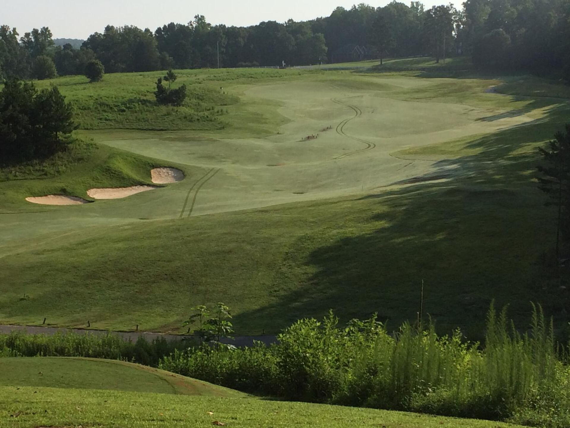 Downhill Tee shot on #8 (Photo submitted by MatthewFromDurham on 07/20/2015)