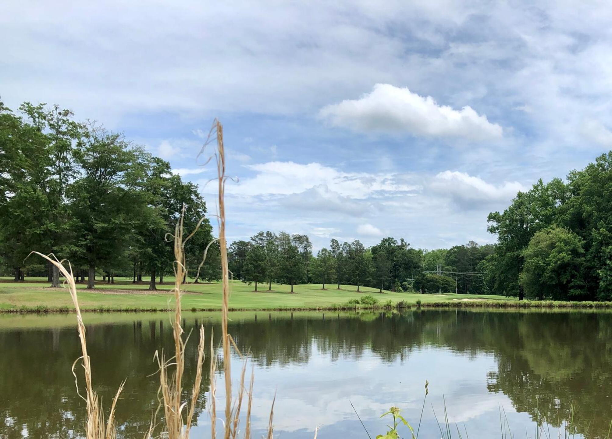 Third hole from in front of tee (Photo submitted by BrandonWebb on 05/29/2020)
