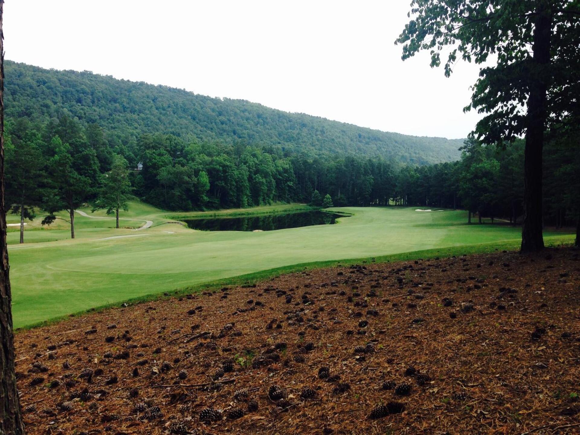 #2 (Photo submitted by Saggy69 on 06/13/2016)