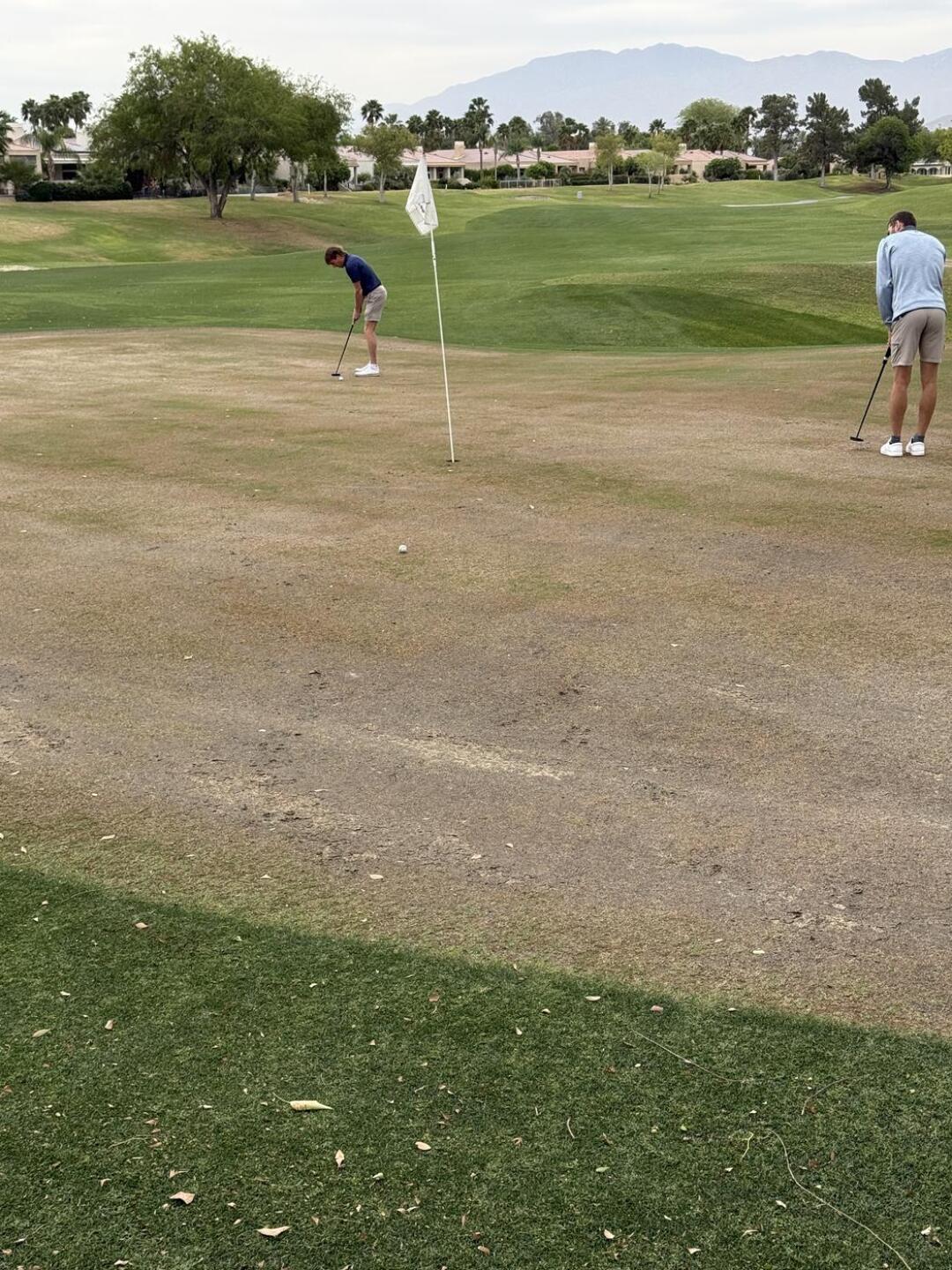 (Photo submitted by 0nA3CVAND1tTOAEdpQpM on 04/05/2026)