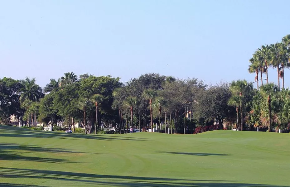 Royal Palm Yacht & CC