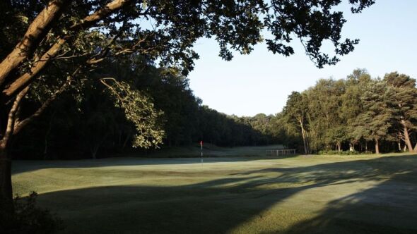 Royal Ashdown Forest GC - West: #18
