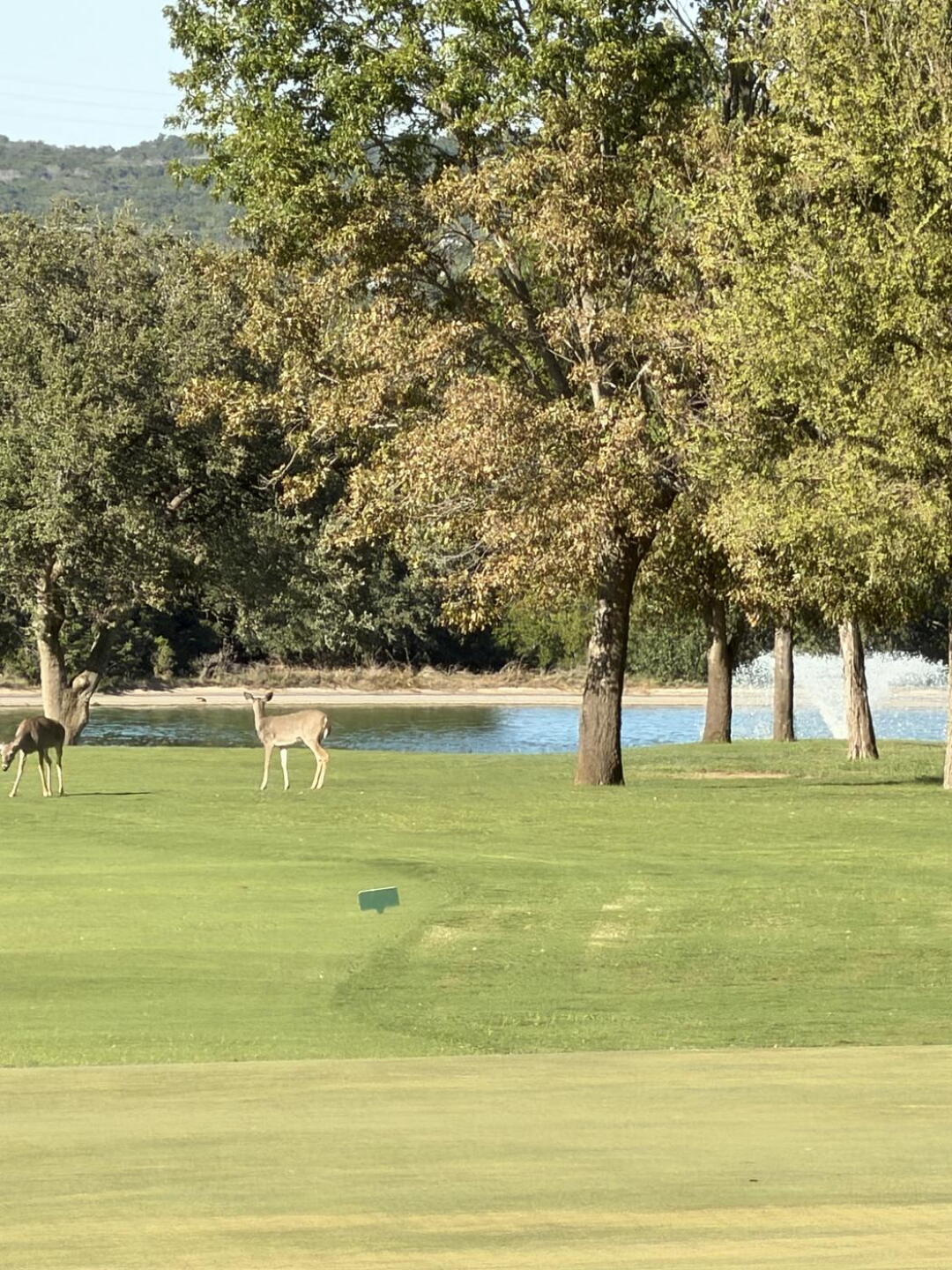 (Photo submitted by jdtgolf1 on 10/19/2026)