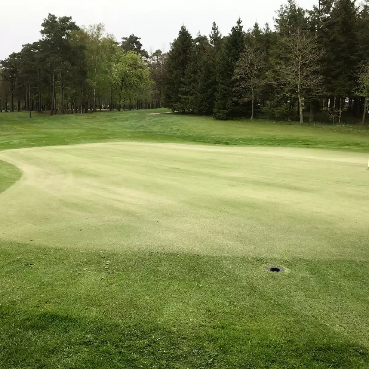 Mariagerfjord Golf Club - 18 Hole Course in Hadsund, …