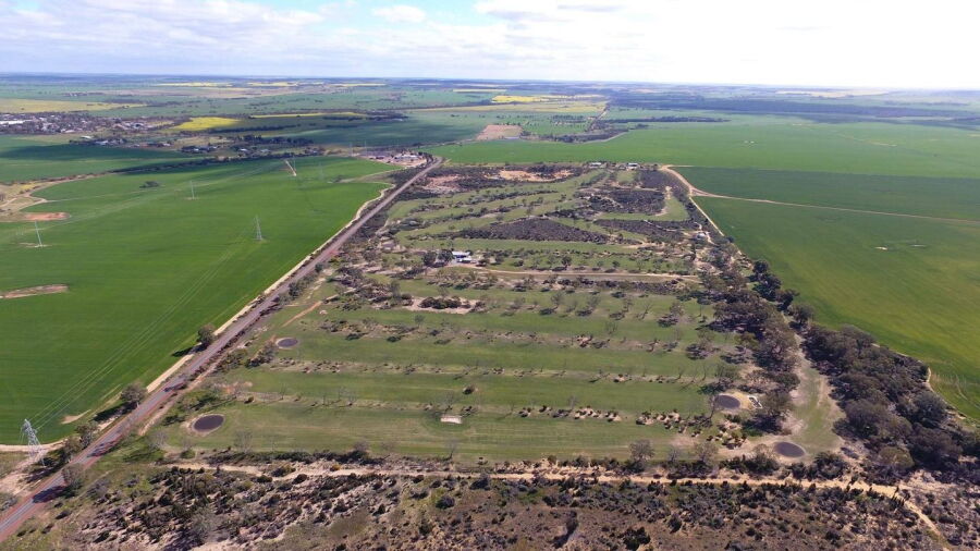 Three Springs Golf Club: aerial view
