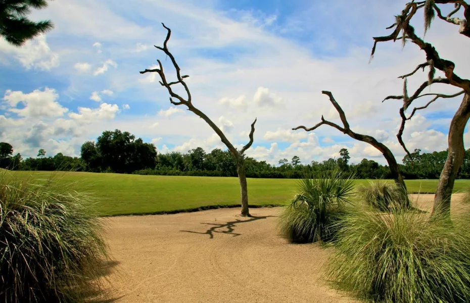 Hammock Dunes - Rees Jones Creek: #10