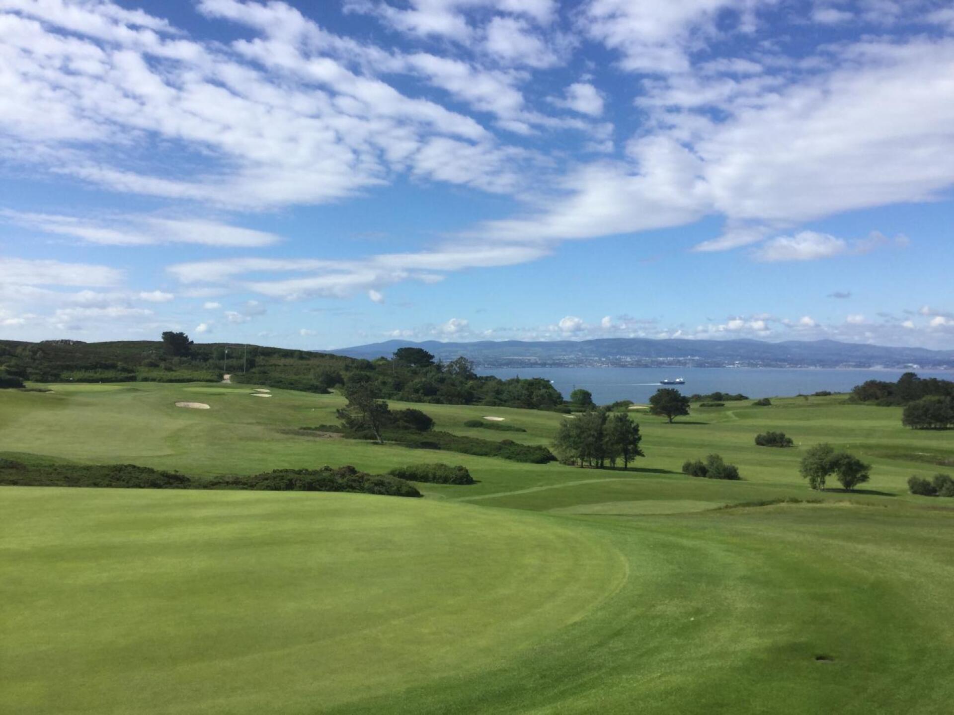 (Photo submitted by Bbqmort on 06/23/2019)