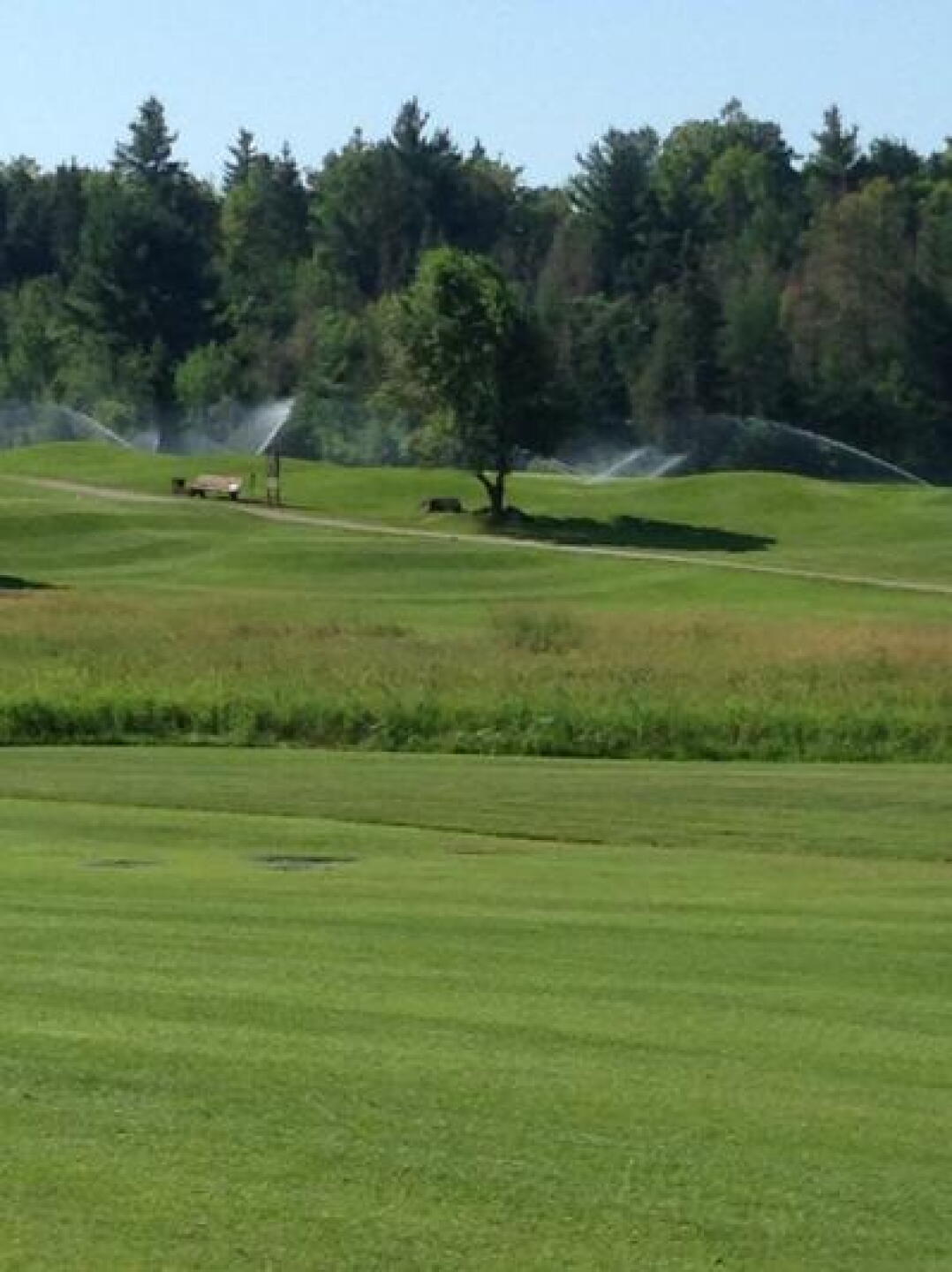 (Photo submitted by uSFQV7329SF on 07/16/2013)