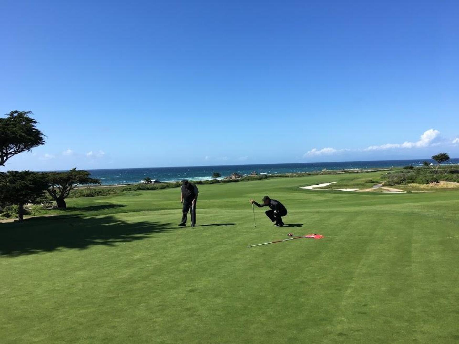 (Photo submitted by Gremlingolfer on 05/15/2019)