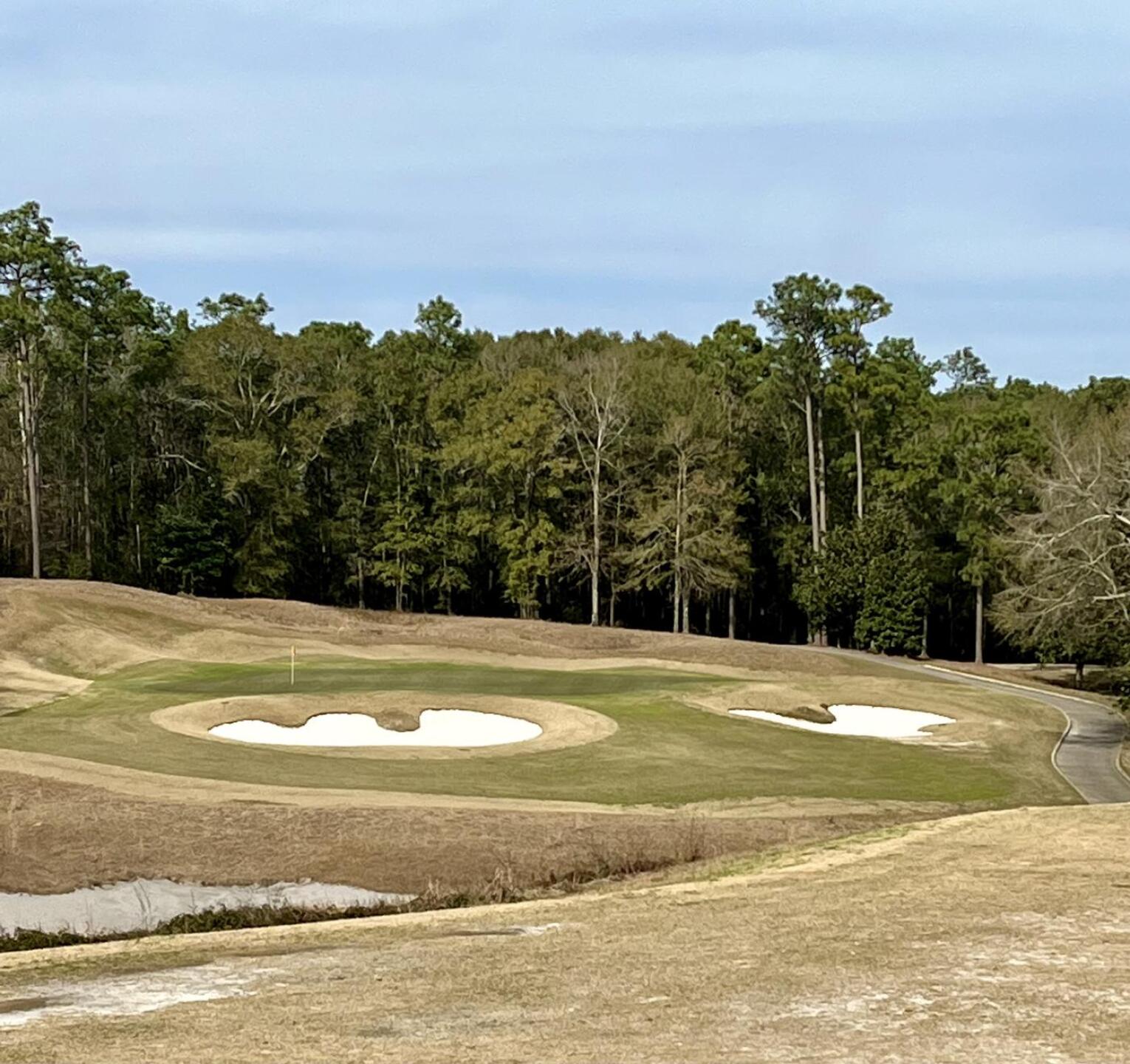 (Photo submitted by QuantumGolfx on 03/04/2022)