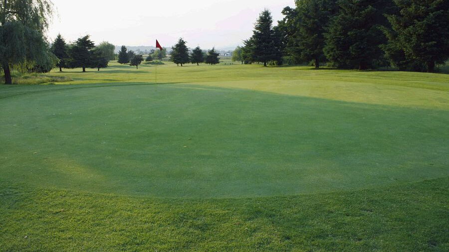 Valley Golf Centre: #8
