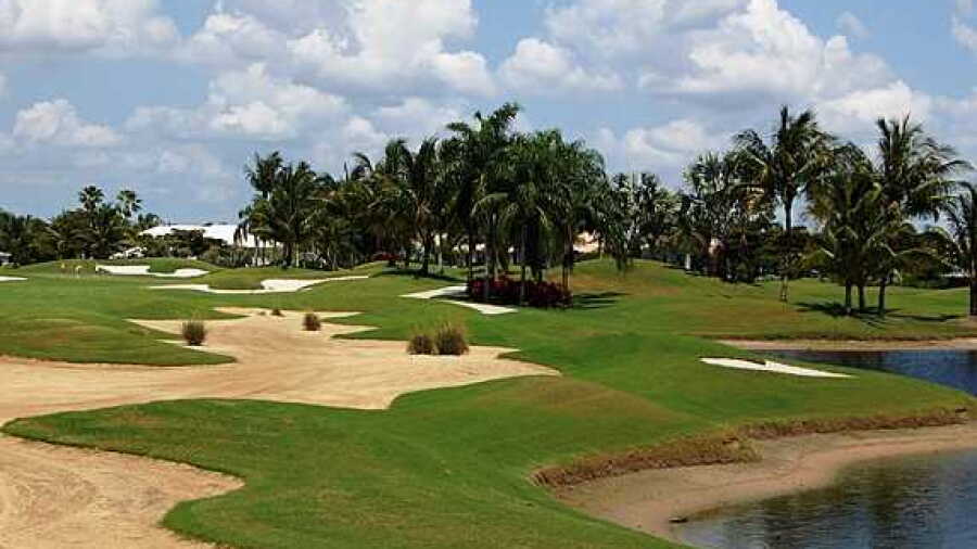 Polo Club - Club: #14