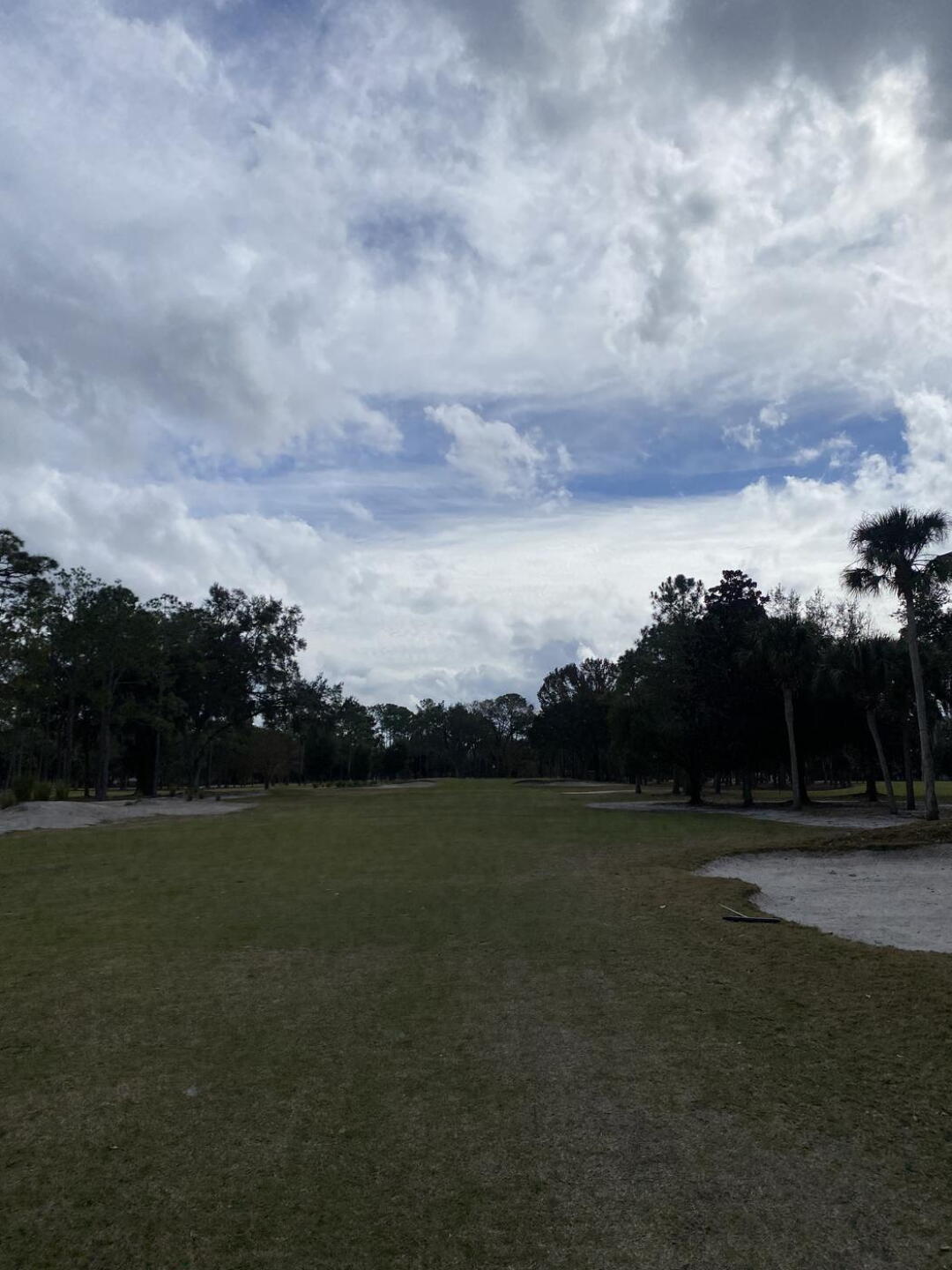 (Photo submitted by u314160328644 on 01/22/2026)