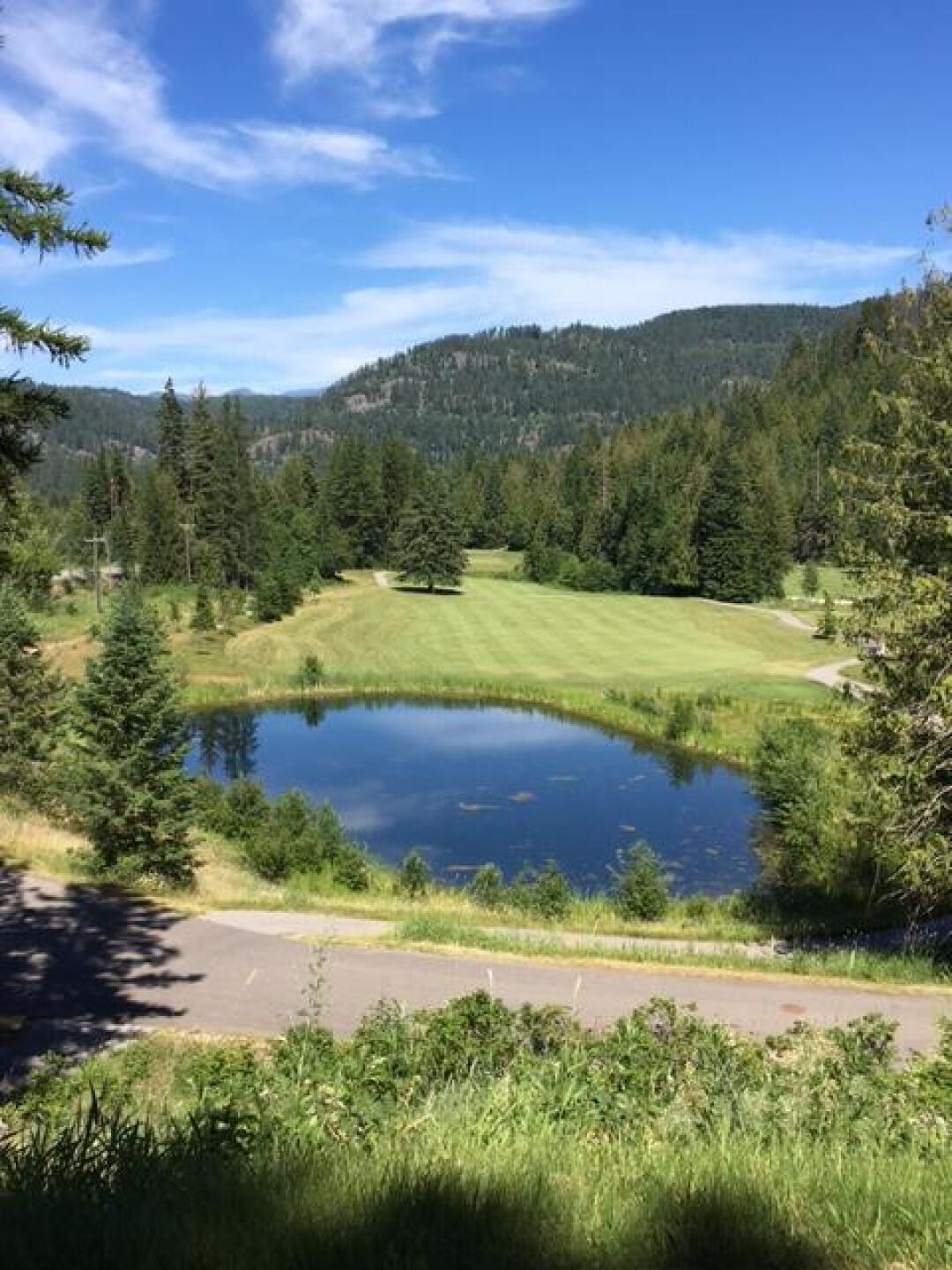 #11 (Photo submitted by gsbarry on 06/30/2017)