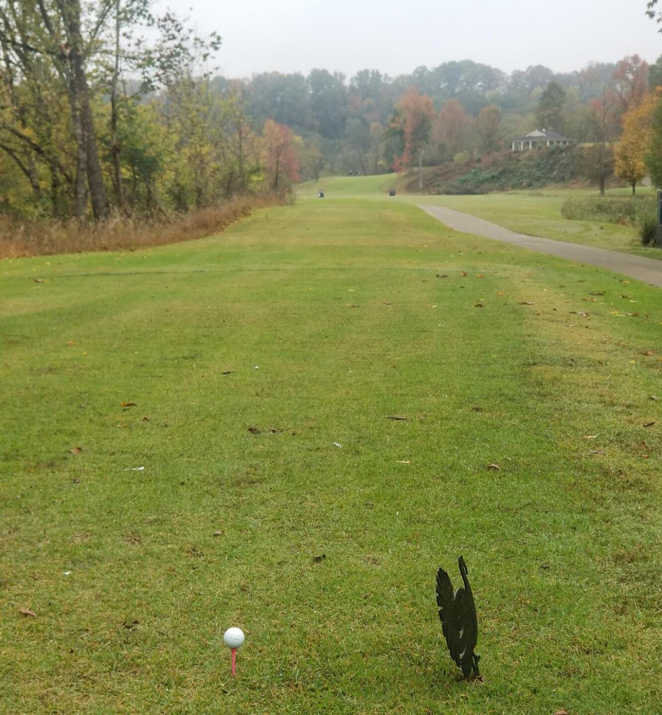 (Photo submitted by ShortKnocker1 on 10/25/2020)