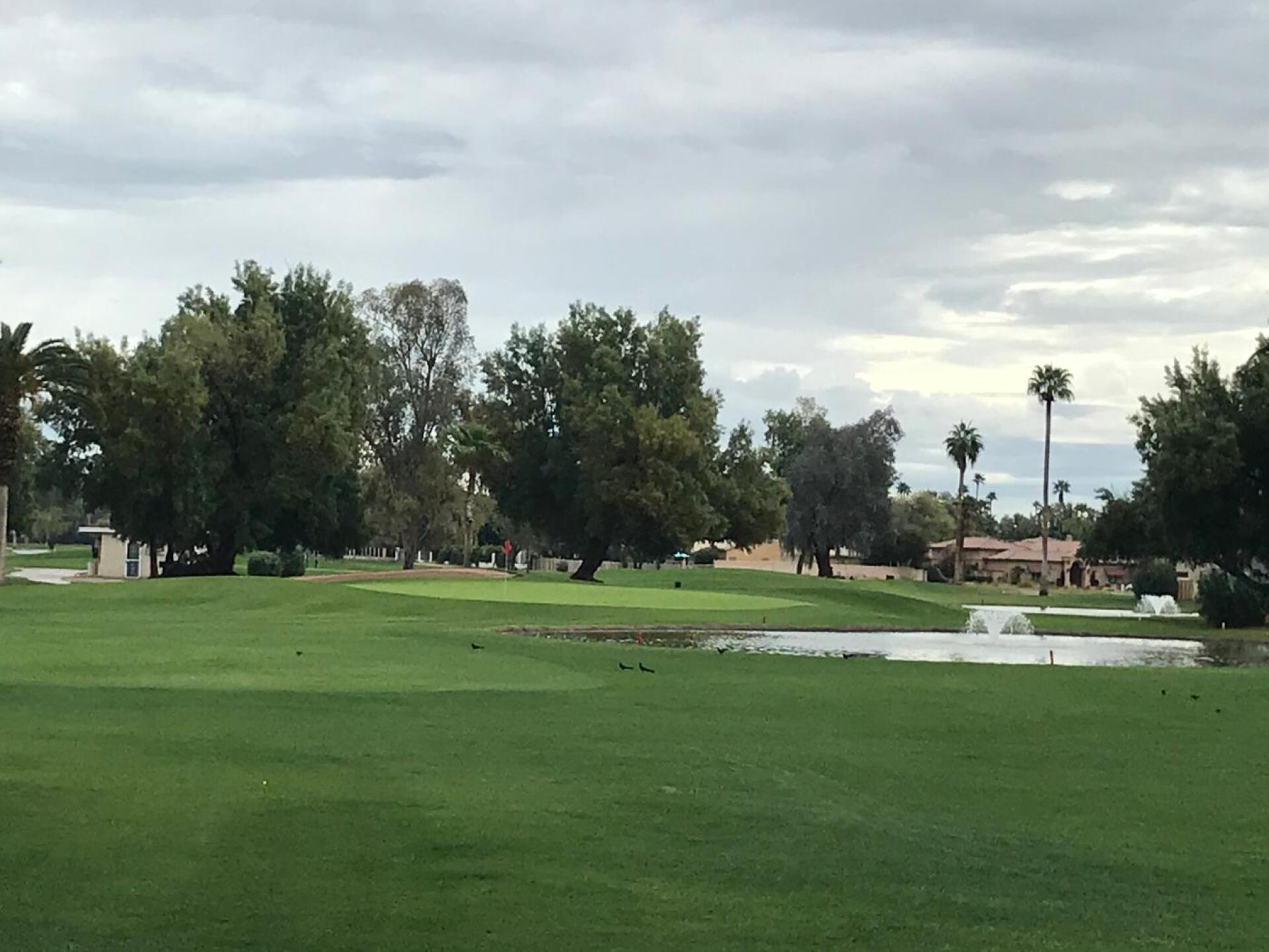 (Photo submitted by DDTipton on 03/12/2020)