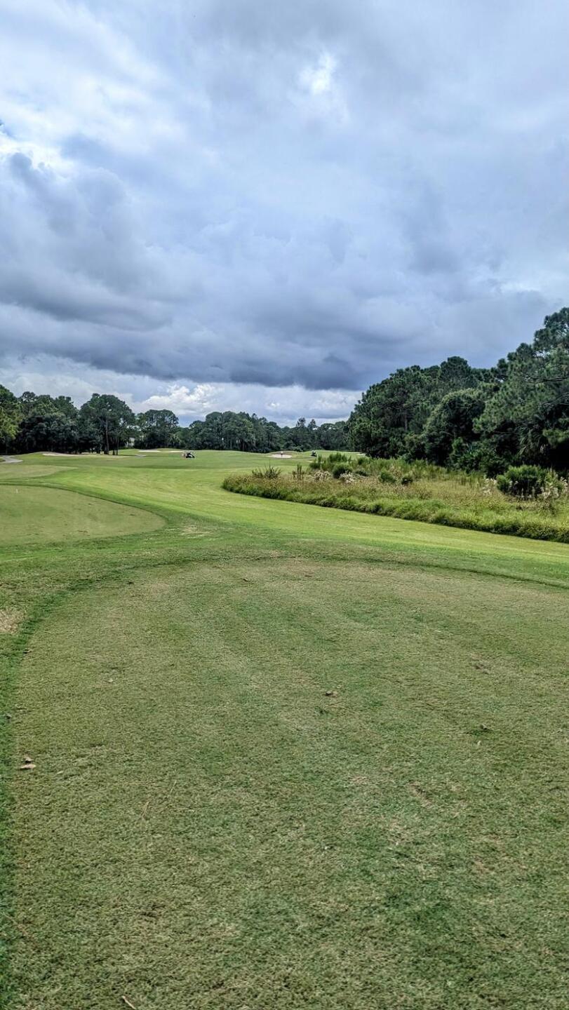 (Photo submitted by tiburonazo on 10/16/2024)