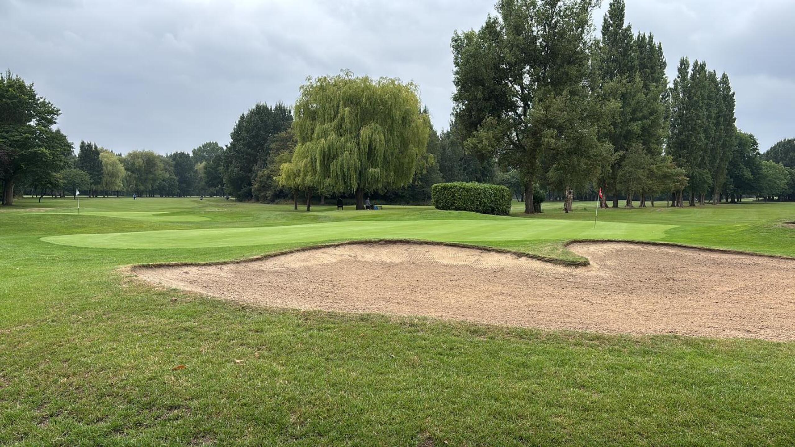 (Photo submitted by u314162689621 on 09/12/2025)