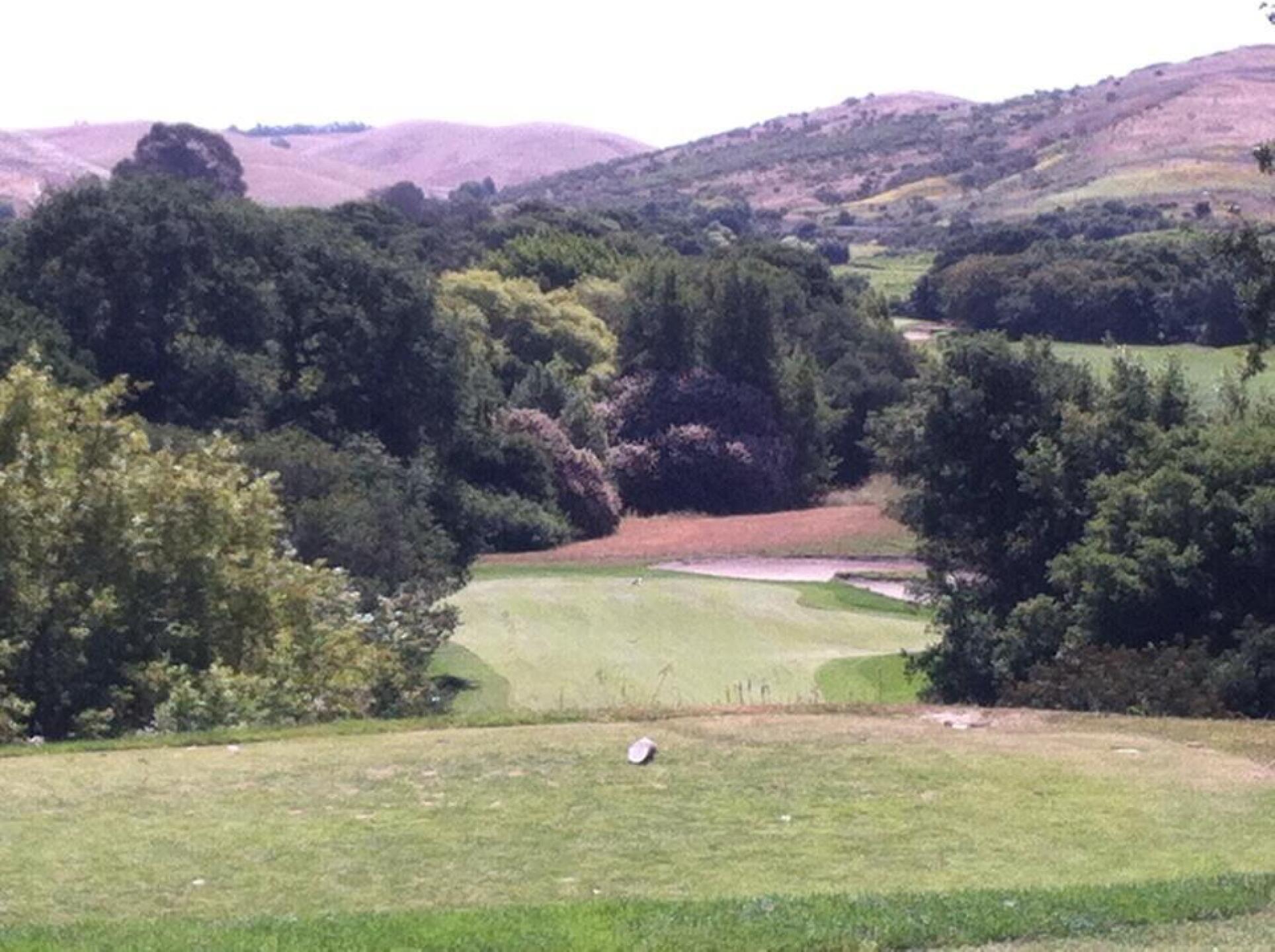 (Photo submitted by cmerce1986 on 06/04/2015)