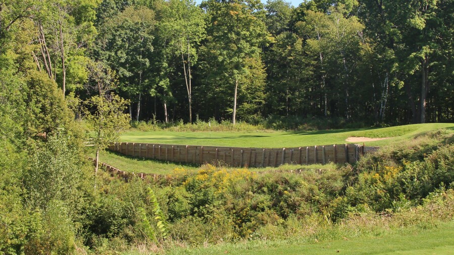 Bull at Pinehurst Farms golf course - hole 5