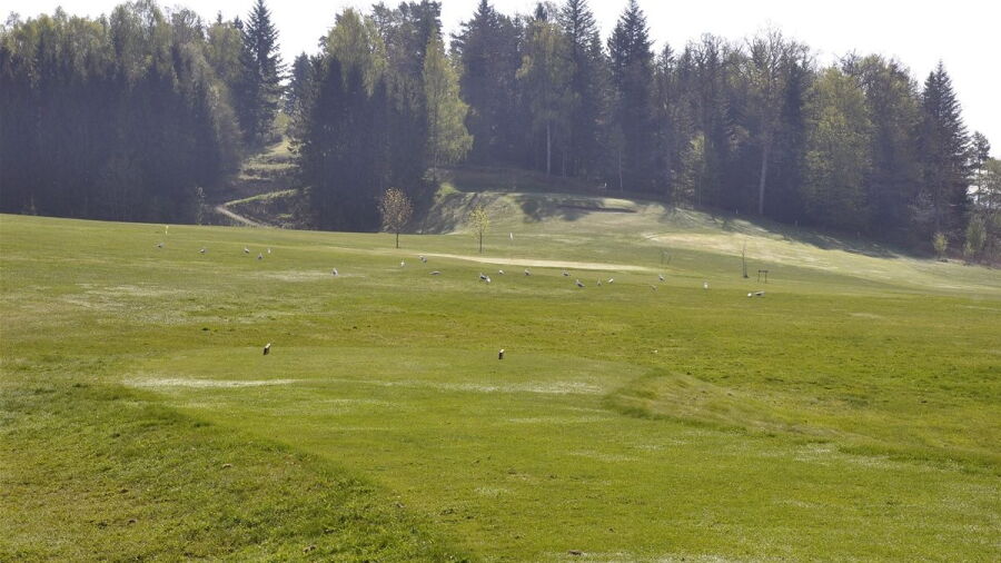 Halden GC: #8