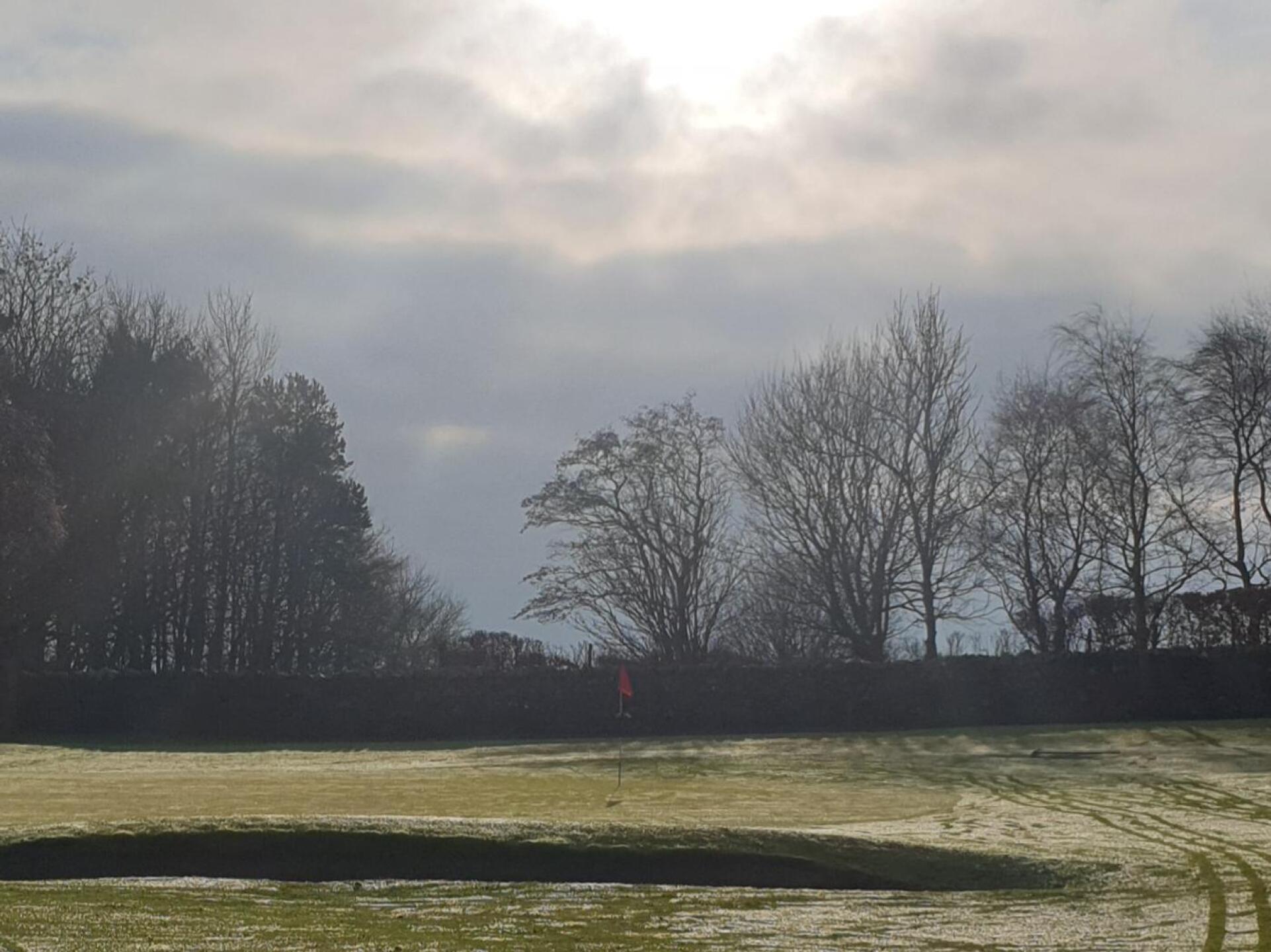 (Photo submitted by u314162093515 on 02/12/2024)