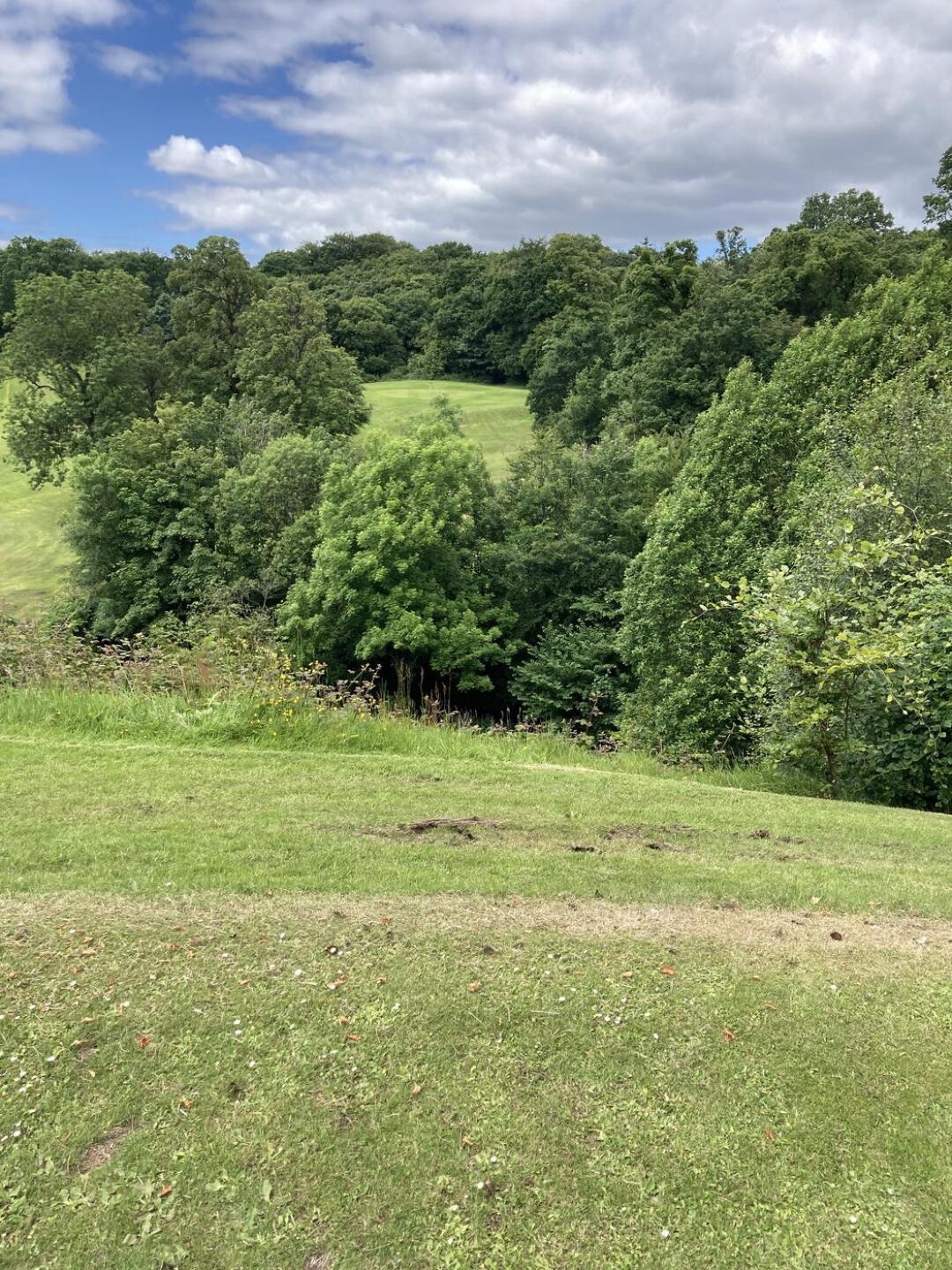 227yd par3 (Photo submitted by Fiduscustos on 06/13/2024)