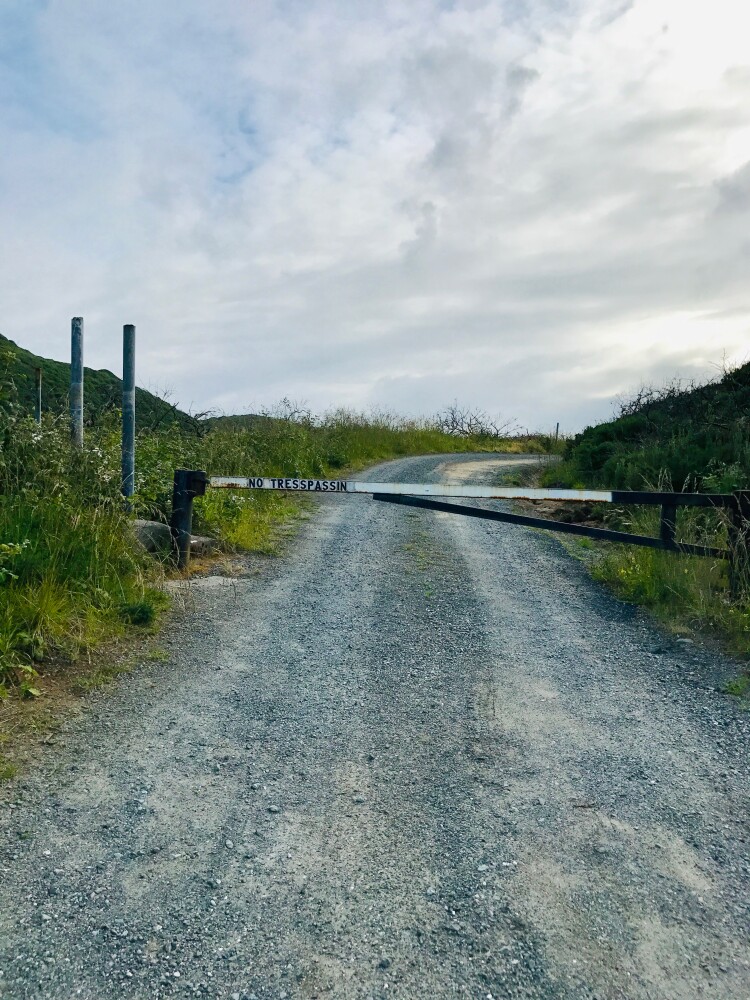 Entrance to Sheep Ranch
