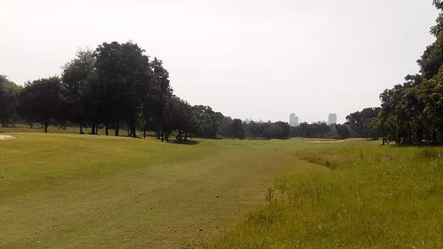Phoenix Gold GCC - Mountain: #3