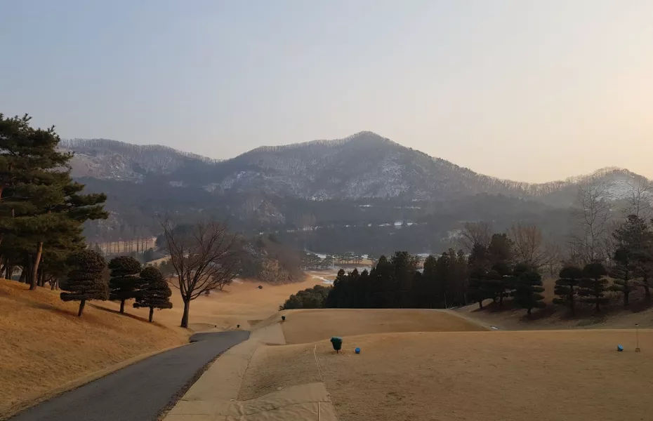 Shinwon CC - Solomon: #1