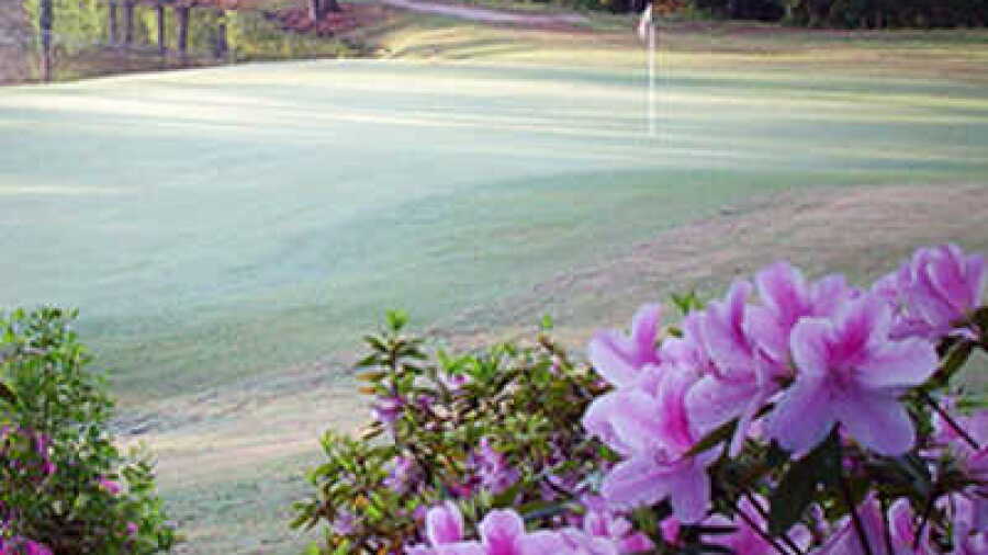Columbia CC