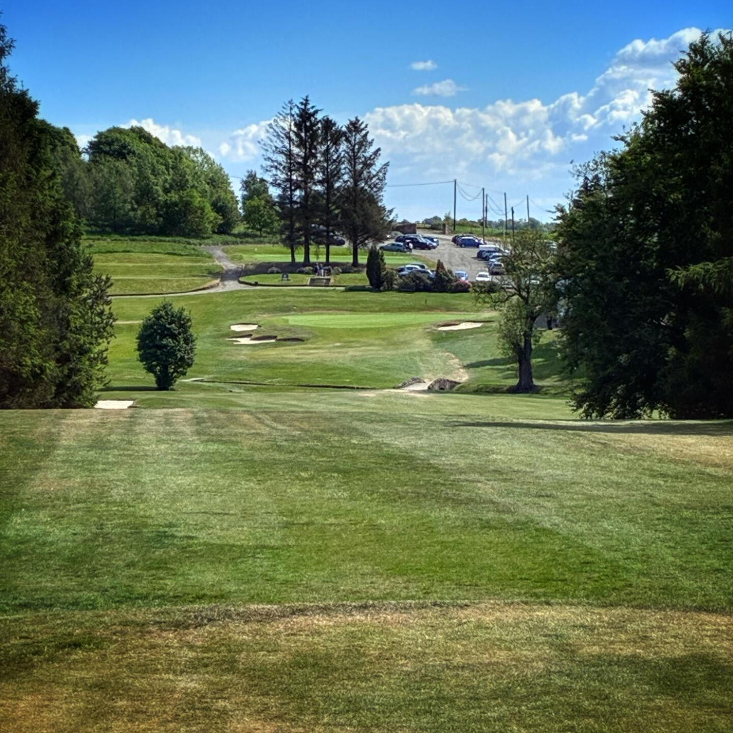 (Photo submitted by murray1403golf on 05/21/2025)