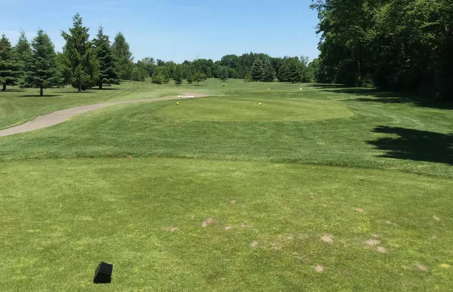 Woodstock Meadows GC