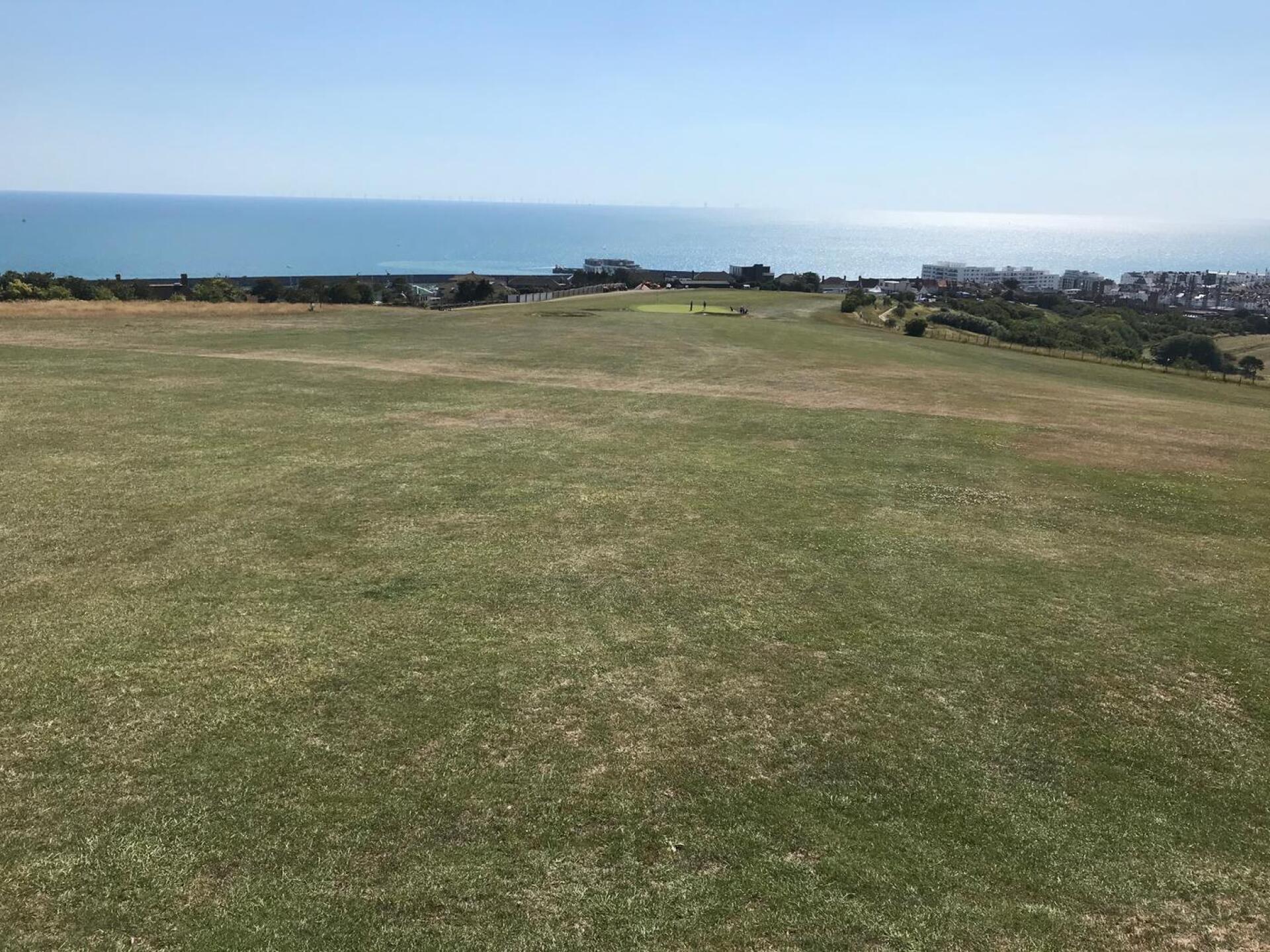 (Photo submitted by pierrelapoo on 07/22/2020)