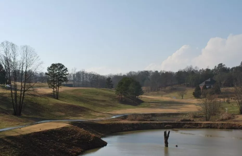 Executive Meadows GC