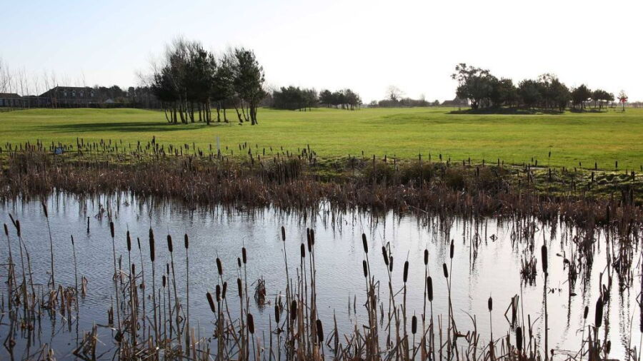 Skegness GC: #2