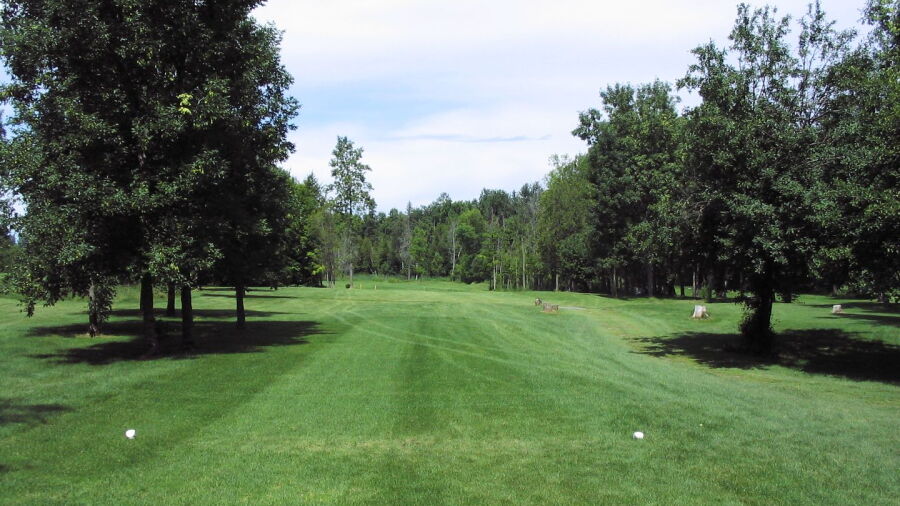 Irish Hills G & CC - Yellow
