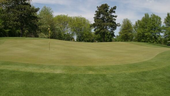 Quail Creek GC: #3