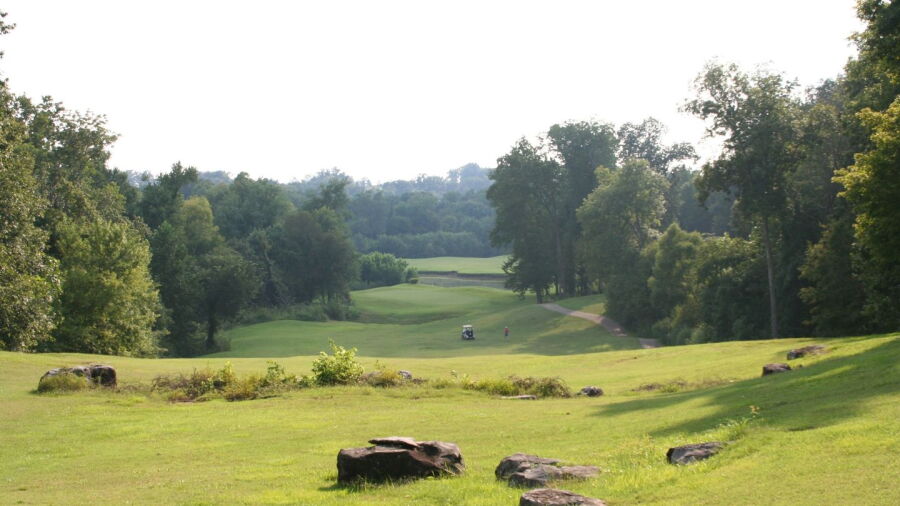 Arrowhead GC: #6