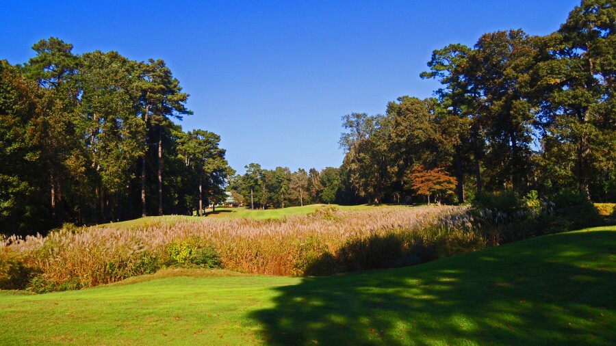 The Witch G.C. - 18th