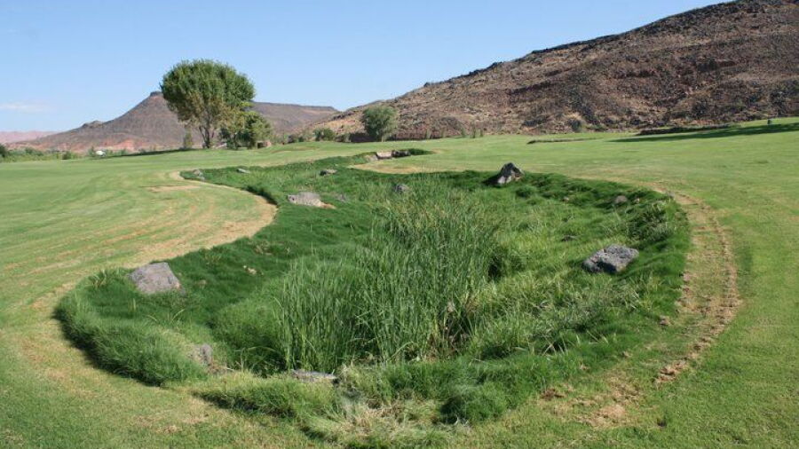 Southgate GC: #8