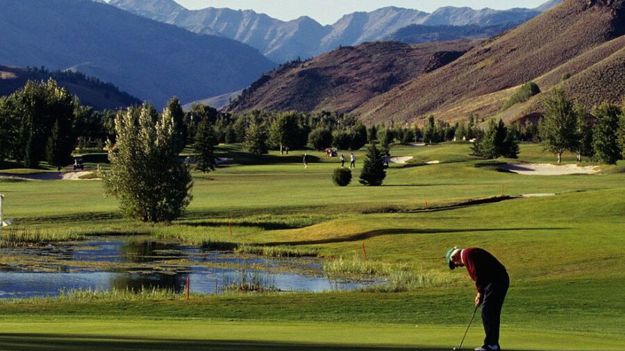 Goodwin GC