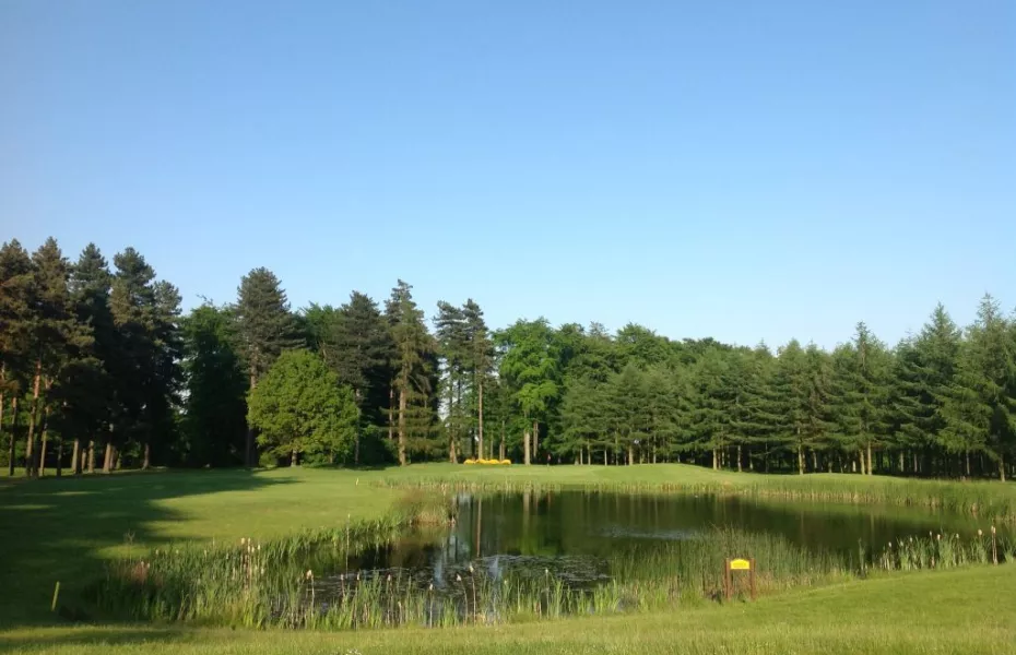 7th on the Pine Course