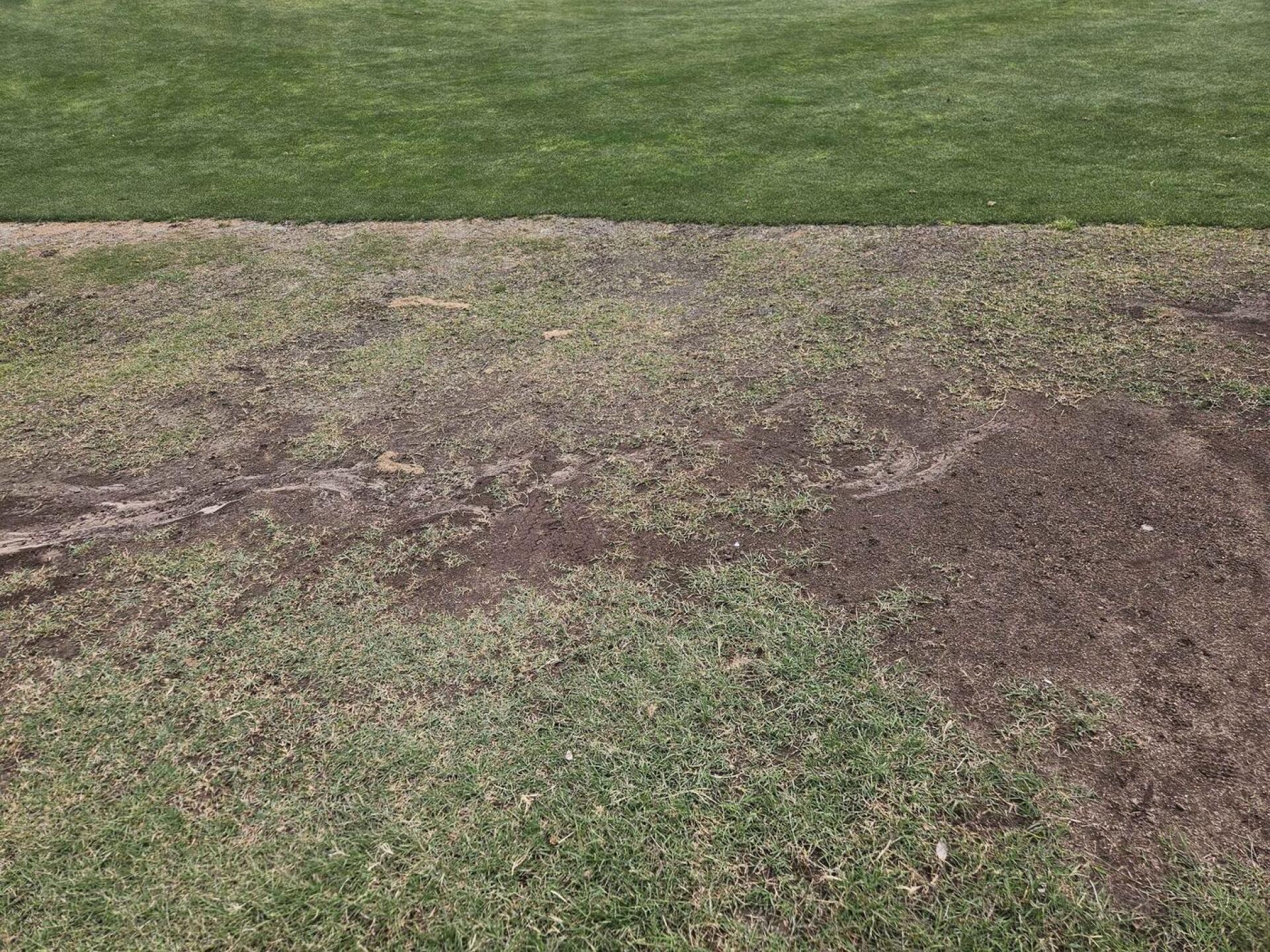 (Photo submitted by u314161622535 on 04/06/2026)