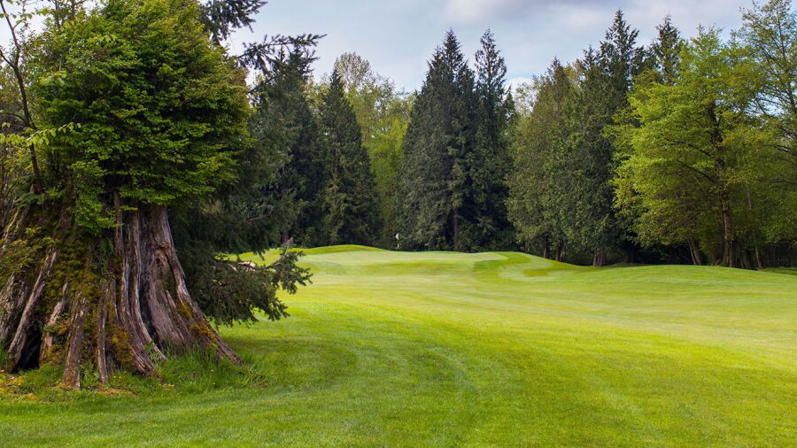 Avalon Golf Links