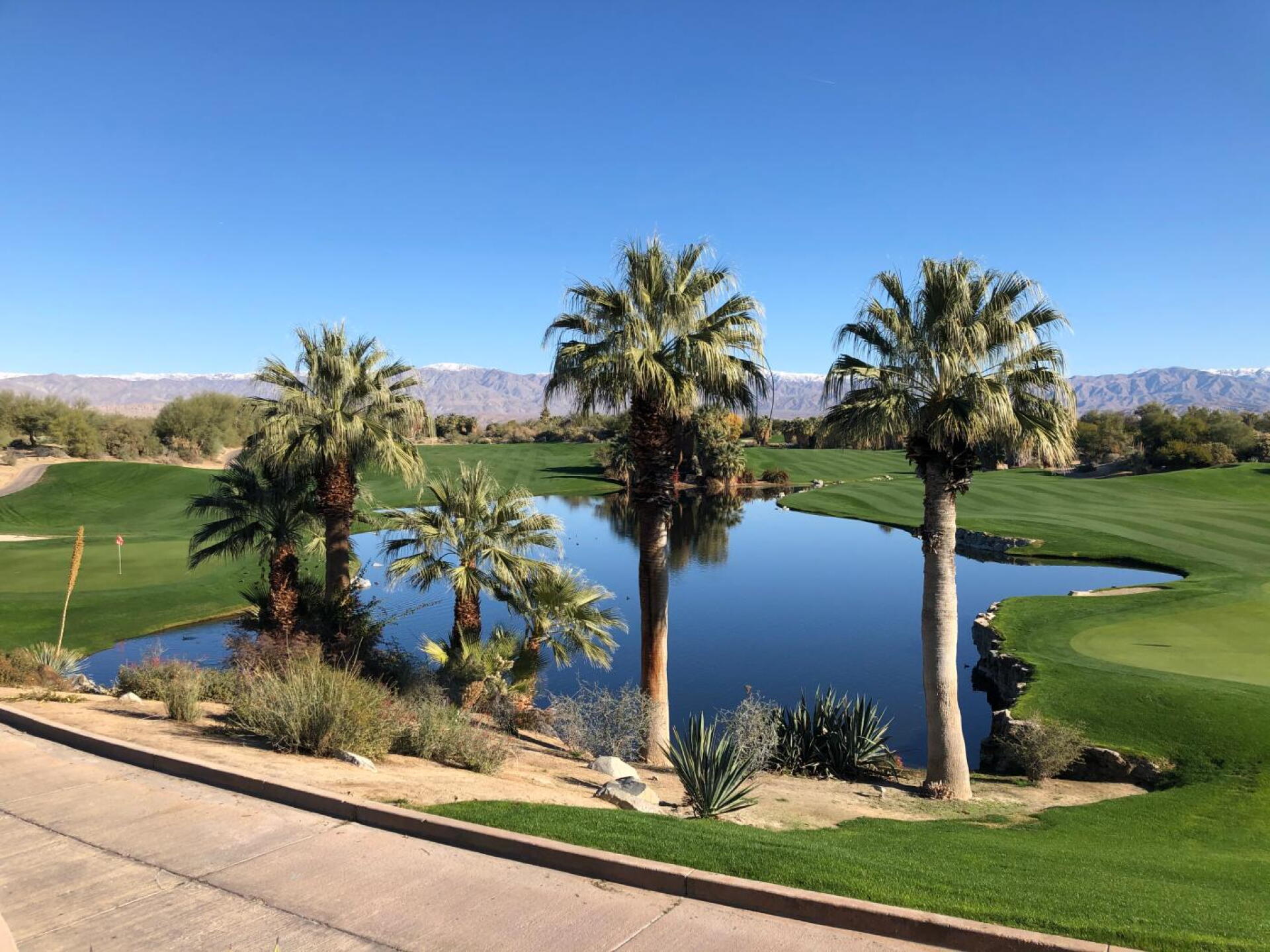 (Photo submitted by u000004189219 on 12/28/2019)