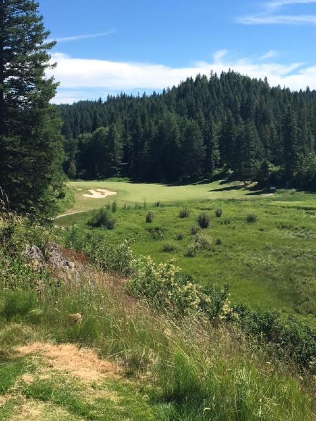 #9 (Photo submitted by gsbarry on 06/30/2017)