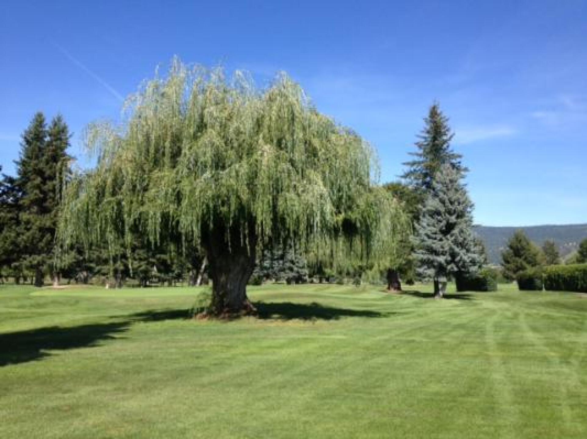 (Photo submitted by mdicay on 09/09/2014)