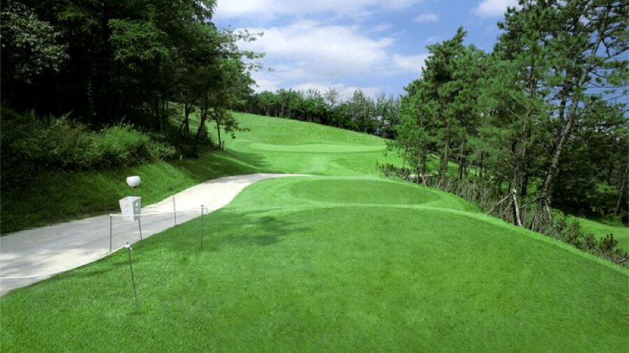Seo Pyeongtaek GC: #2