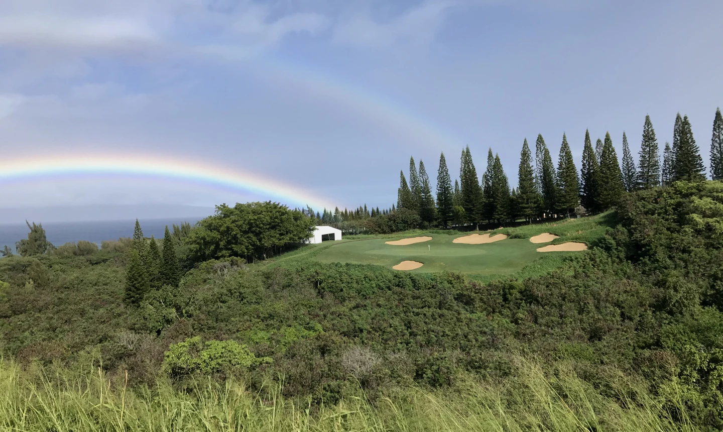 Kapalua - Plantation Course - hole 8 